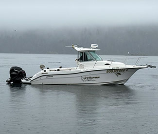 Seaswirl 2601 Striper